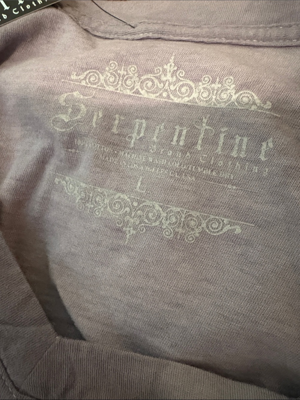 Vintage-Style 'Mirror Mirror' Graphic V-Neck Tee in Dusty Serpentine Small - Med - Picture 6 of 6